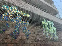 回舟日記‖初探東極