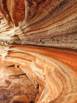 웨이저우다오 3일 2박 고래 추적 가이드 해변 치유 여행