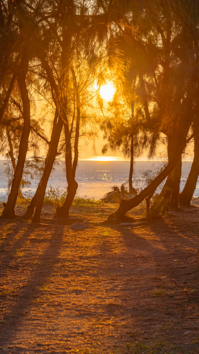 銀灘日出全攻略|附絕美機位+調色參數 銀灘日出全攻略|附絕美機位+調色參數