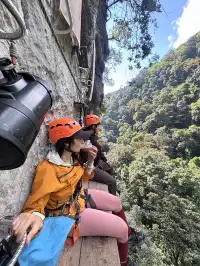 雨林裡的攀岩,又刺激又好玩~