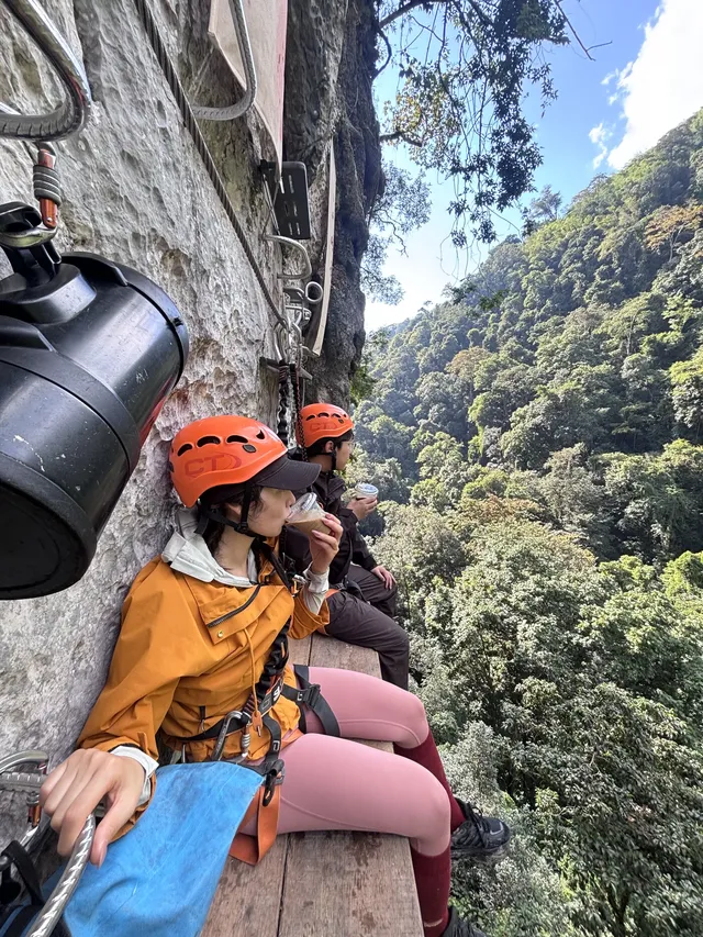 雨林裡的攀岩,又刺激又好玩~ 雨林裡的攀岩,又刺激又好玩~