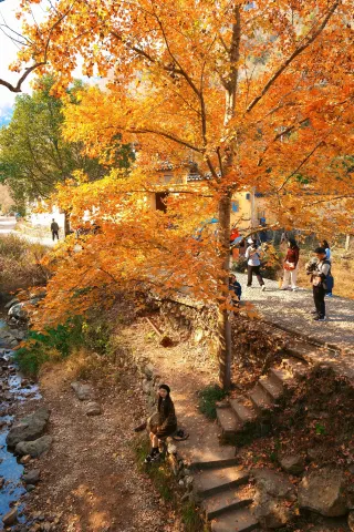 江浙滬徒步｜台州南黃古道賞秋路線天花板