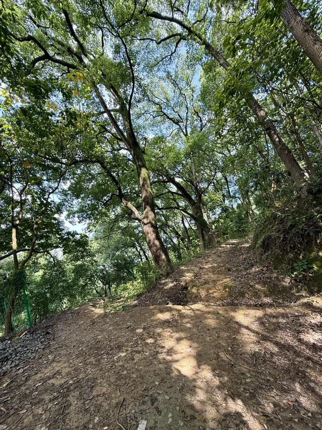 重慶主城!最喜歡的citywalk路線好治癒… 重慶主城!最喜歡的citywalk路線好治癒…