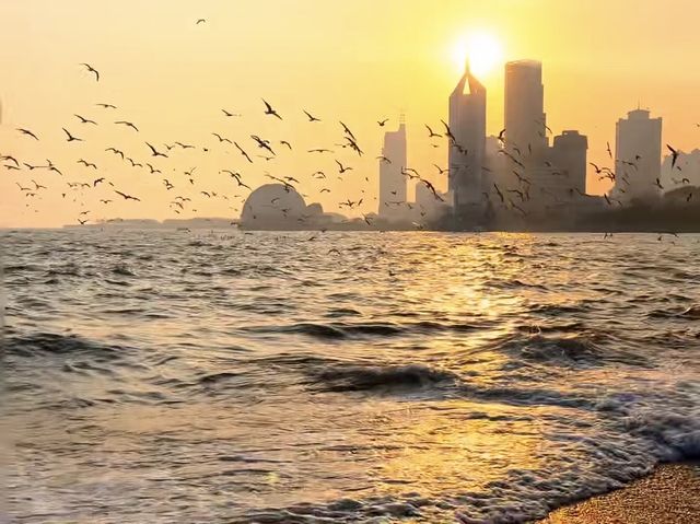 青島棧橋拍海鷗大片 青島棧橋拍海鷗大片