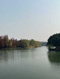 尚湖秋日醉美秘境