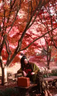 你在人潮擁擠的西湖邊,我在花開海上紅楓自由自在