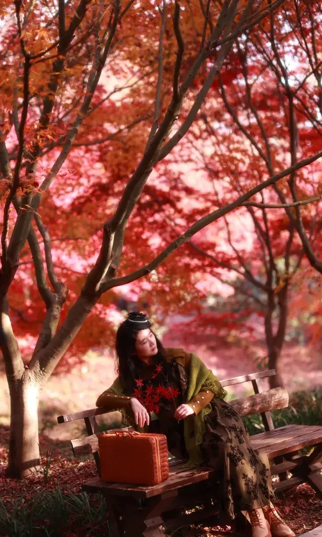 你在人潮擁擠的西湖邊,我在花開海上紅楓自由自在 你在人潮擁擠的西湖邊,我在花開海上紅楓自由自在