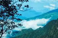 神農谷底實拍‖走進仙境裡了