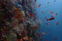 巴厘島,度假天堂