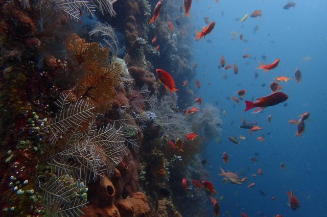 巴厘島,度假天堂 巴厘島,度假天堂