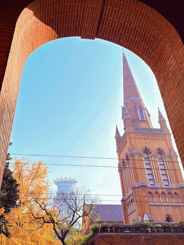 深秋限定！上海聖三一教堂銀杏與穹頂的絕美邂逅