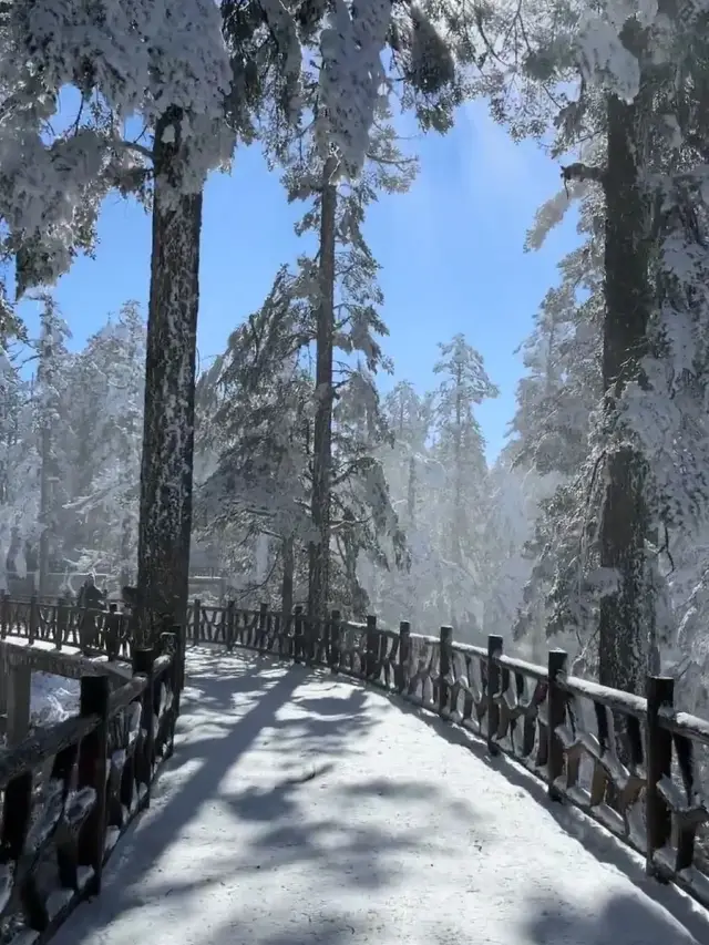 ทัวร์ชมทิวทัศน์หิมะบนภูเขาวาวู 1 วัน เปิดตัวแล้ว: 100 หยวน/ท่าน รวมค่าเข้าชม