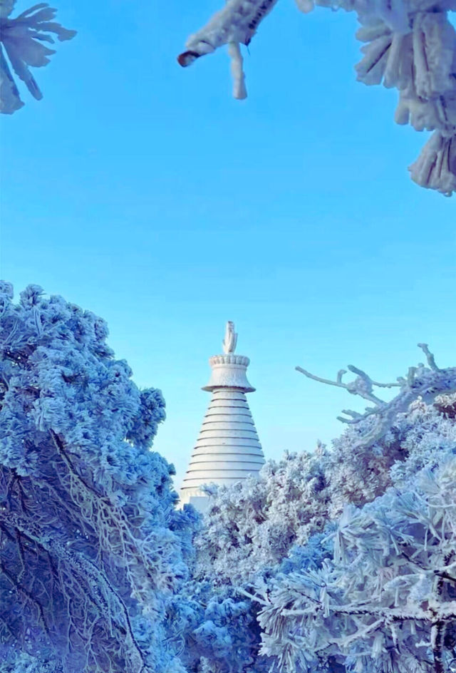 南方人看雪天花板!廬山雪景霧淞保姆級攻略 南方人看雪天花板!廬山雪景霧淞保姆級攻略