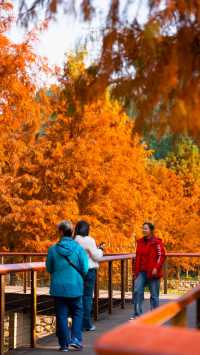 住對酒店,連散步都藏著極致浪漫