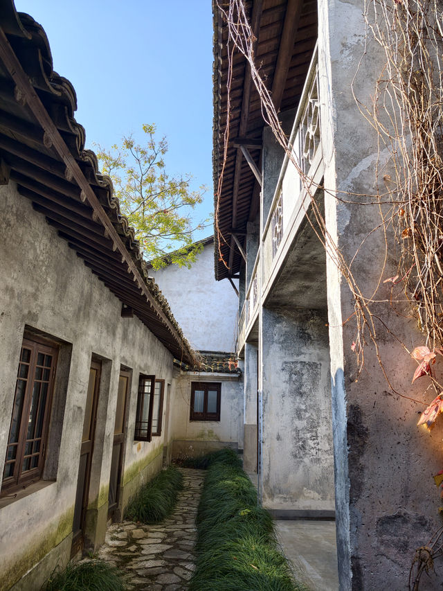 烏村(景色篇)照片太多,20張都不夠發 烏村(景色篇)照片太多,20張都不夠發