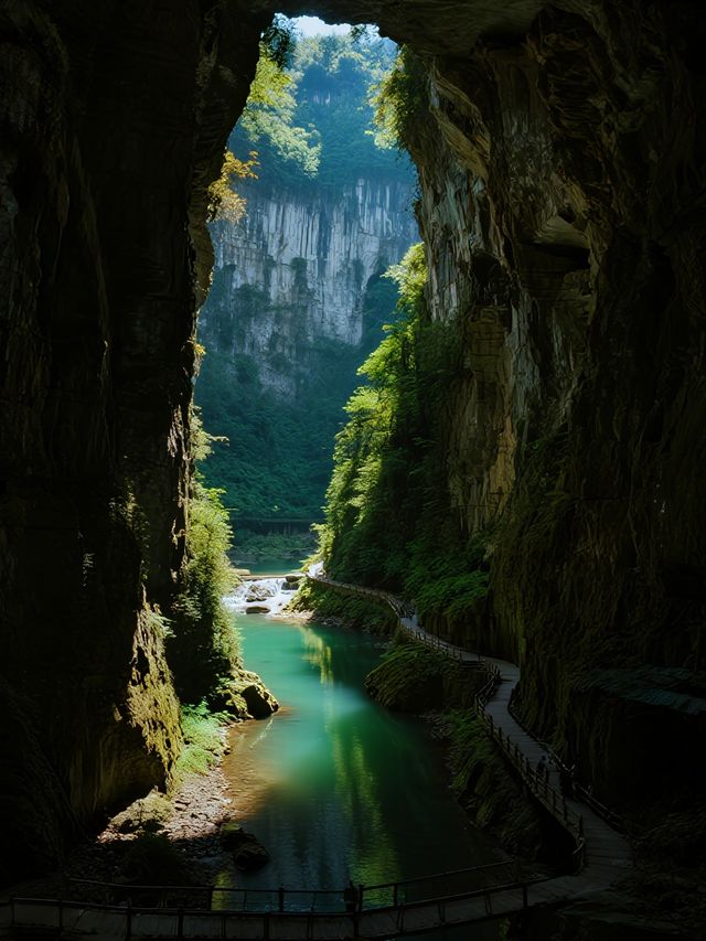 闖進北緯23°的綠野仙蹤!這個冬季平均18℃的寶藏地 闖進北緯23°的綠野仙蹤!這個冬季平均18℃的寶藏地