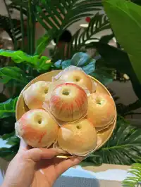 不开玩笑!差點在西安看到小人了(不是