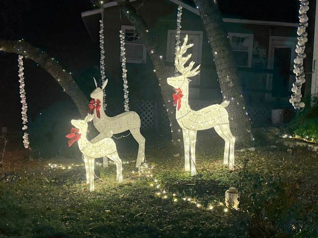 湖畔燈光節：德克薩斯州奧斯汀全新假日步行體驗！