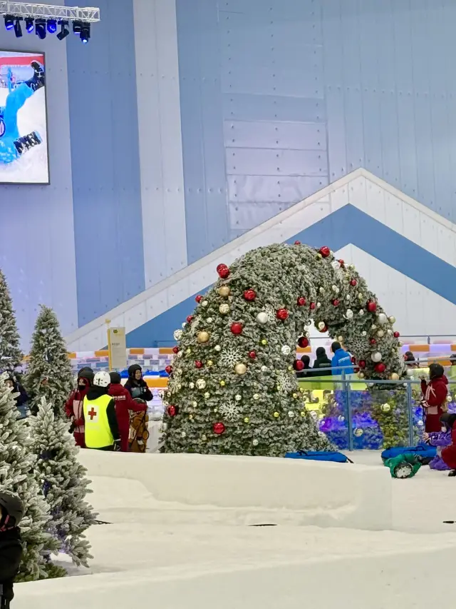 Complete Guide to Skiing in Shenzhen, Handheld to Fly!