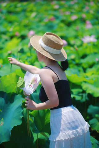 Summer at Dongqian Lake is the gentleness delivered by lotus flowers 🪷