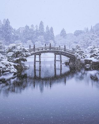 A must-stay in Hiroshima during winter! Mitsui Garden Hotel offers stunning views from your comfort zone.