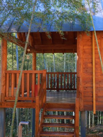 寒假過年這麼玩！在莫干山森林木屋過年啦！