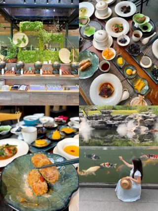 The stunning forest restaurant in Chaozhou offers delicious modern Chinese-style five-element health-preserving meals! 🪾