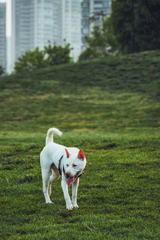 Yueshan Lake Park | The Simplicity and Splendor Brought by the Spring Breeze