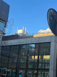Amazing Visit to Cambridge's Museum of Zoology