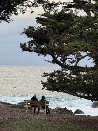 California Coastal Seven-Day Road Trip Itinerary (Highway 1)