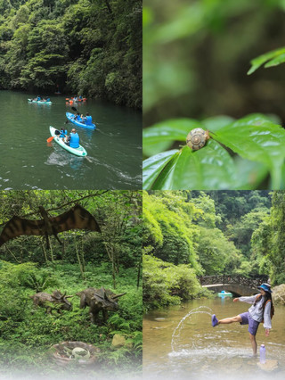 夏天避暑天花板剛從三峽大瀑布
