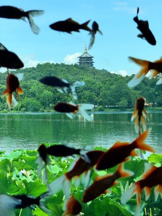 Leifeng Pagoda in Hangzhou | Climb the pagoda to overlook West Lake and wait for the “Leifeng sunset”