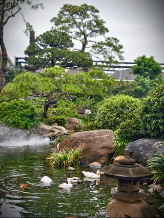 A new Chinese-style courtyard hidden in Shunde|Every snapshot is full of traditional charm