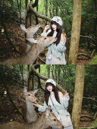 昆明夏天正確打開方式青龍峽吸氧撸鹿