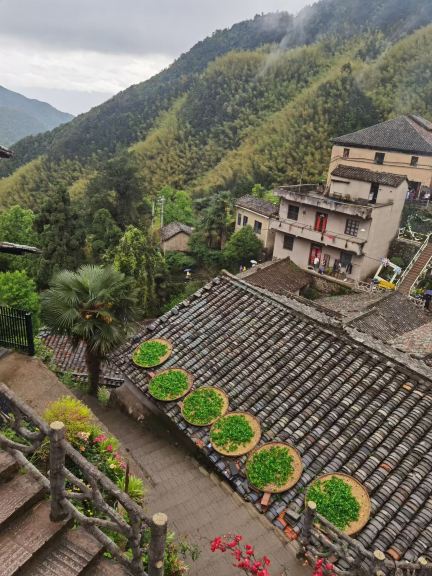 陳家鋪村｜松陽雲端古村浙江麗水松陽縣四都鄉，懸崖山脊上的中國傳統夯