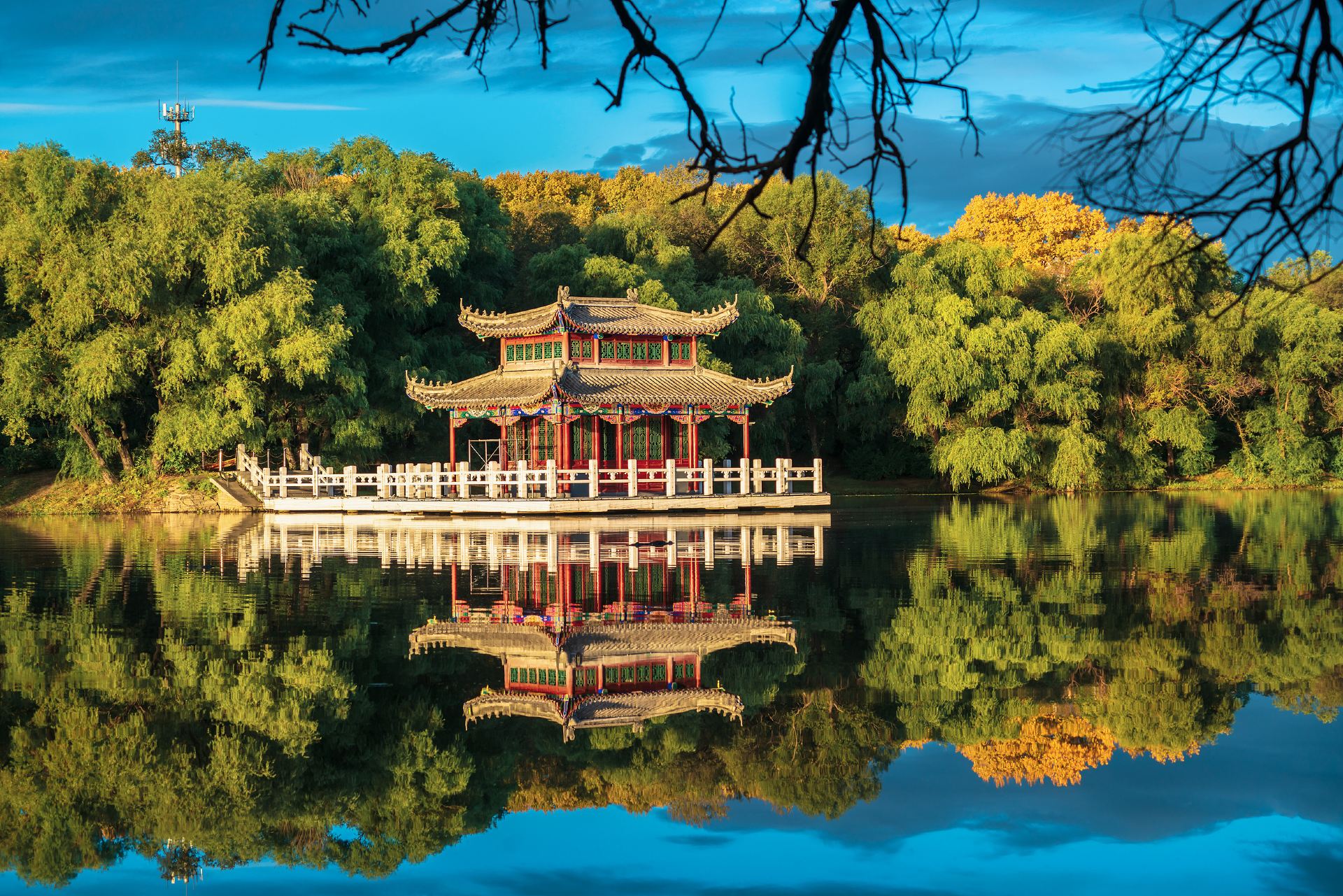 Qiqihar in fall comes alive with golden reed beds, colorful mountain forests, soothing forest hot springs, and juicy barbecue, revealing the unique charm of a northern autumn.

🌾 Zhalong Ecotourism Area
✨ Highlights:
· The world’s largest freshwater reed marsh wetland. When the wind sweeps the reeds, they roll like waves—a spectacular sight.
· Watch red-crowned cranes train for free flight. White wings glow in the sunset, golden reed plumes shimmer like an oil painting.
· Follow the lakeside boardwalk deep into the reeds, learn about birds, and embrace the beauty of nature.
· A small train runs around the wetland’s outer ring with wide-open views, where you can spot semi-free-range red-crowned crane families.

🏛 Luosiya Street
✨ Highlights:
· Russian-style architecture and cobblestone streets showcase the history of China-Russia cultural exchange.
· Yellow leaves drift in fall, creating an atmospheric scene where every snapshot looks great.

🐾 Longsha Zoological and Botanical Gardens
✨ Highlights:
· One of the leading zoological and botanical parks in Northeast China, home to 200+ animal species from five continents and 120+ rare plants.
· Get up close with gentle, friendly animals. A park train winds through the woods to observe wildlife.
· Learn nature and science as you explore—ideal for family-friendly trips.

🍁 Longsha Park
✨ Highlights:
· Red maples, golden leaves, and bright red rowan berries make it a favorite photo spot for photographers.
· The lake mirrors a kaleidoscope of fall trees. Breezes ripple the reflections like a flowing watercolor.

⛰️ Aobao Ridge in Nianzishan District
✨ Highlights:
· Mountain sports trails and the striking rock formations of Snake Cave Mountain showcase autumn landscapes sculpted by nature.
· After the first frost, the multicolored forests blaze with color. Layered rocks and vibrant woods encircle vast, dramatic vistas.

🌲 Qingnian Forest Farm
✨ Highlights:
· Founded in 1956, this vast sea of forest is a natural oxygen bar.
· Great for cycling, picnics, and strolls. A filming location for "Now, Go! 3," where deep fall gold and fiery red intertwine.

♨️ Shuishi Forest Hot Spring Resort
✨ Highlights:
· Warm spring waters soothe body and mind—perfect for fall wellness.
· Cool forest air mingles with the steam from open-air pools for an exceptionally comfortable soak.

🍖 Meilisi Barbecue Town
✨ Highlights:
· Qiqihar’s barbecue is renowned. The 47°N golden livestock belt produces high-quality beef.
· Freshly sliced and seasoned, grilled on iron plates—tender, juicy, and flavorful without being heavy.
· The city’s first barbecue culture exhibition hall offers insights into barbecue history and culture.

💡 Travel tip: Wear comfortable hiking shoes suitable for fall trips. As temperatures drop in fall, bring warm clothing.

Come to Qiqihar to experience the diverse allure of fall and the charm of the north.