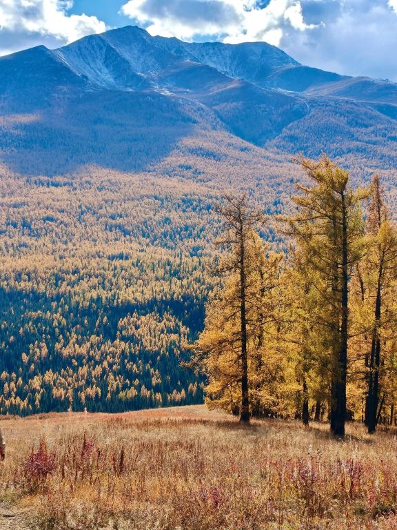 Ultimate 8-Day Russia Autumn Travel Guide
