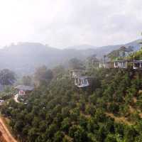 ที่พักเปิดใหม่เชียงใหม่กลางสวนส้ม สวนโชกุนโฮมสเตย์