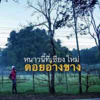 หนาวนี้ที่เขียงใหม่ หนาวสะใจที่ดอยอ่างขาง