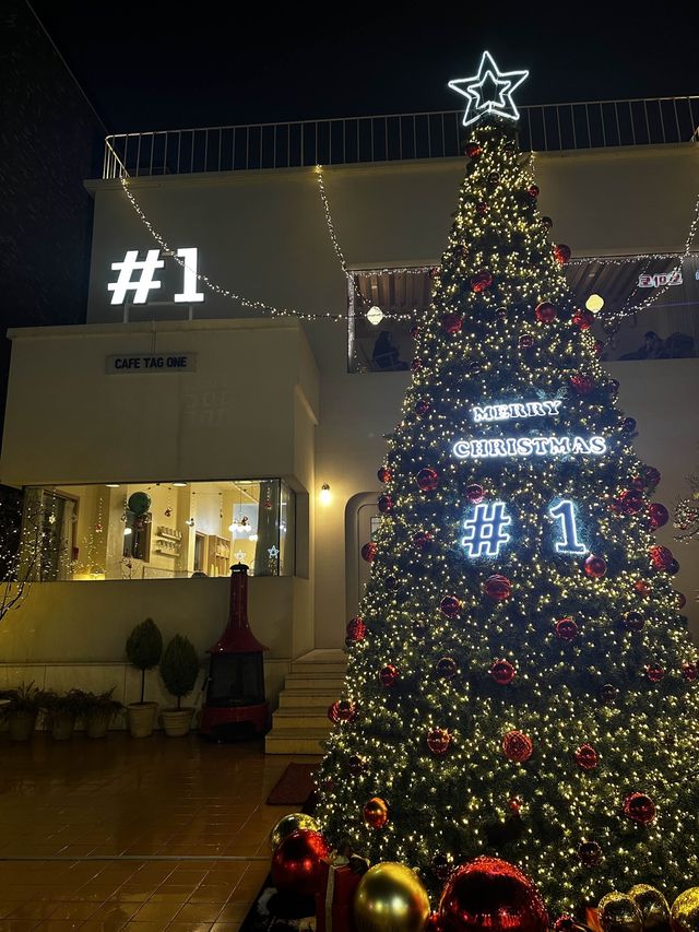 🎄대형트리 맛집 청주 성안길 원탑 카페 #1