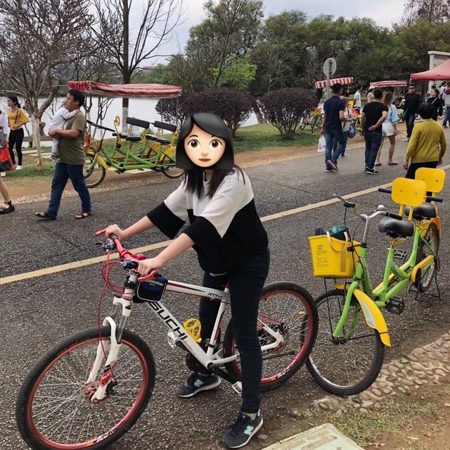 東莞松山湖踏青去