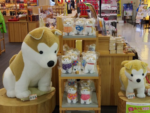 【秋田県】秋田空港✈️