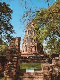 วัดมหาธาตุ จ. อยุธยา 