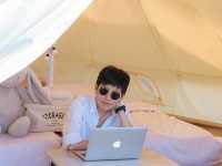 CAMP Phuchifa แคมป์ภูชี้ฟ้า 