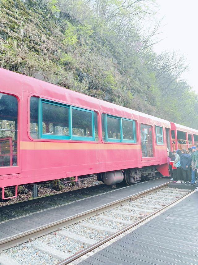 首爾近郊遊3 - 江村鐵路自行車✌🏻