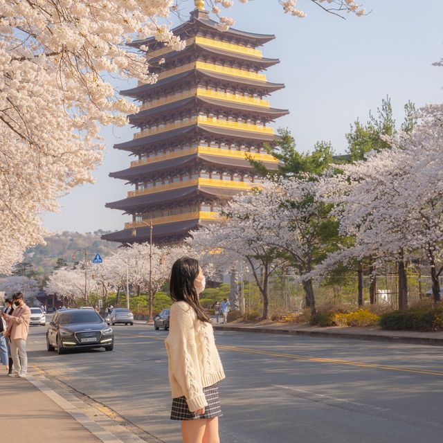 황룡원 사진 남기는 숨은명소 꿀팁✔️