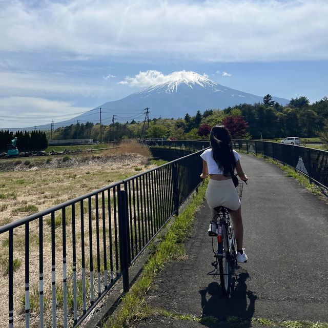 Best view of Mt. Fuji without the tourist