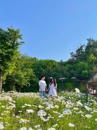 🌼Daisy Flower Cafe - Forest Cafe🌼