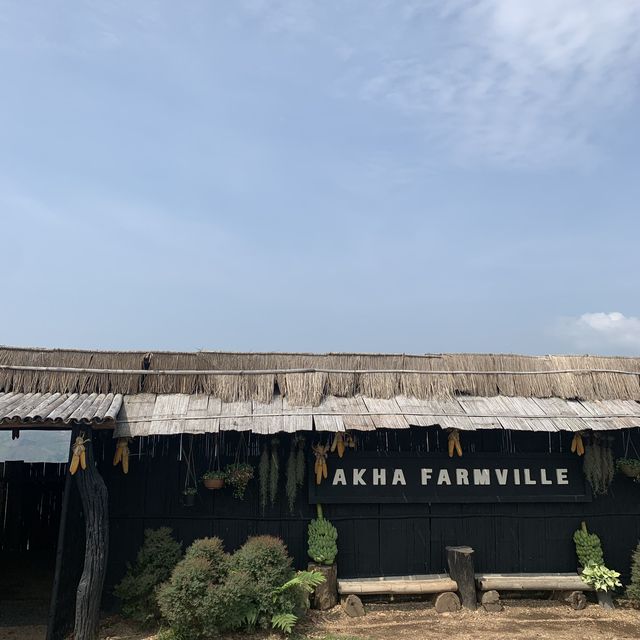 Akha farmville คาเฟ่น้องแกะวิวหลักล้าน🐑🍰⛰🥤