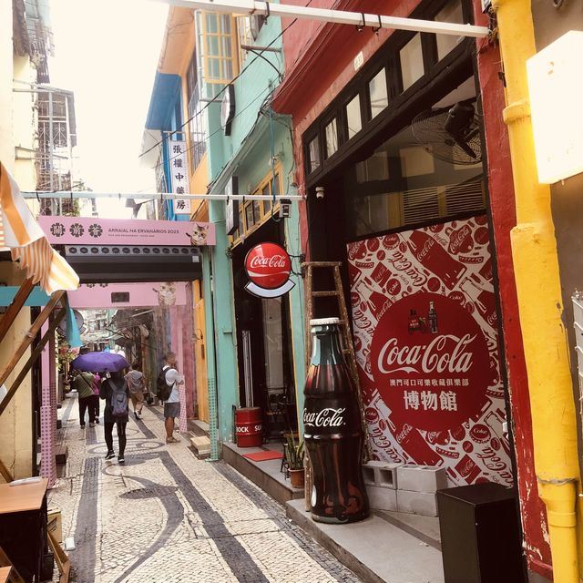 ARRAIAL NA ERVANÁRIOS PRESENTS 3D CAT VIDEOS